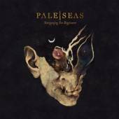 PALE SEAS  - CD STARGAZING FOR BEGINNERS