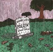  ANTHOLOGY: HERE LIES POLLYN (2003-2016) [VINYL] - suprshop.cz