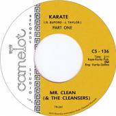 MR. CLEAN AND THE CLEANSE  - SI KARATE /7