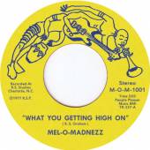 MEL-O-MADNEZZ  - SI WHAT YOU GETTING HIGH.. /7