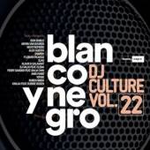 VARIOUS  - 2xCD BLANCO Y NEGRO DJ..