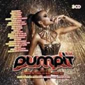 VARIOUS  - 3xCD PUMP IT VOL. 14