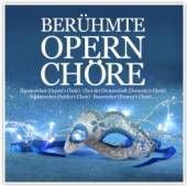 VARIOUS  - CD BERĂĽHMTE OPERNCHĂ¶RE