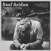 ASAF AVIDAN  - CD THE STUDY ON FALLING