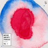 VARIOUS  - 2xCD MUSIQUE AMBIANTE..VOL.1