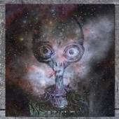  COSMIC CURIOS [VINYL] - supershop.sk