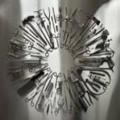  SURGICAL STEEL LP [VINYL] - supershop.sk