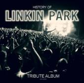  HISTORY OF LINKIN PARK - TRIBUTE ALBUM [VINYL] - suprshop.cz