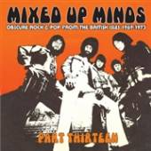 VARIOUS  - CD MIXED UP MINDS PART 13