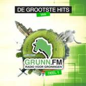 VARIOUS  - CD GRUNN FM DEEL 1