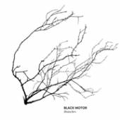 BLACK MOTOR  - CD BRANCHES