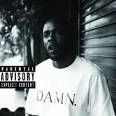 LAMAR KENDRICK  - CD DAMN COLLECTORS EDITION