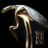  WAIT FOR LOVE (GOLD SPLATTER) [VINYL] - suprshop.cz