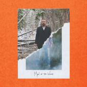 TIMBERLAKE J.  - CD MAN OF THE WOODS