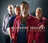 TOUSSAINT NICO WAYNE  - CD SOUTHERN WIND BLOWIN'