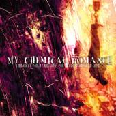 MY CHEMICAL ROMANCE  - VINYL I BROUGHT YOU ..