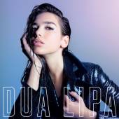  DUA LIPA / PINK / 180GR. [VINYL] - suprshop.cz