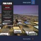 PINK FLOYD  - VINYL MOMENTARY LAPS..