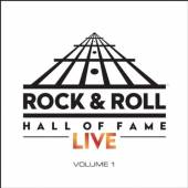 VARIOUS  - VINYL ROCK & ROLL HALL..LIVE V1 [VINYL]