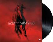  ORFF: CARMINA BURANA (LP) [VINYL] - supershop.sk