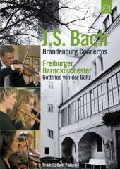 GOLTZ GOTTFRIED VON DER VIOLI  - DVD BACH: BRANDENBUR..