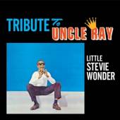 WONDER STEVIE  - CD TRIBUTE TO UNCLE RAY/..