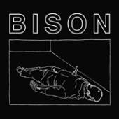 BISON  - CD ONE THOUSAND NEEDLES