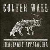  IMAGINARY APPALACHIA [VINYL] - supershop.sk