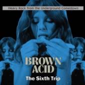 VARIOUS  - CD BROWN ACID: SIXTH TRIP