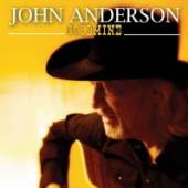 ANDERSON JOHN  - CD GOLDMINE