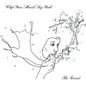 CLAP YOUR HANDS SAY YEAH  - CD TOURIST -DIGI-