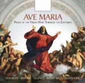 VARIOUS  - 10xCD AVE MARIA - PRAISE OF..