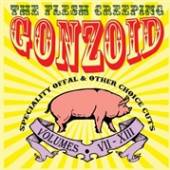 LILES ANDREW  - CD FLESH CREEPING GONZOID