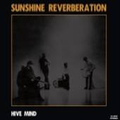 SUNSHINE REVERBERATION  - CD HIVE MIND