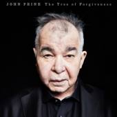 PRINE JOHN  - CD TREE OF FORGIVENESS