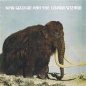 KING GIZZARD & THE LIZARD WIZA  - CD POLYGONDWANALAND