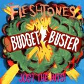 FLESHTONES  - CD BUDGET BUSTER [DIGI]