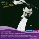 MAHLER GUSTAV  - CD LIED VON DER ERDE