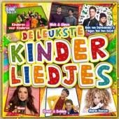 VARIOUS  - CD LEUKSTE KINDERLIEDJES