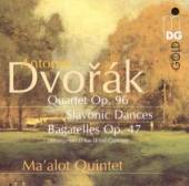 DVORAK ANTONIN  - CD CHAMBER MUSIC:SLAVONIC DA