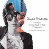 STEVENSON JAMES  - 2xCD 40 YEARS IN THE ROCK..