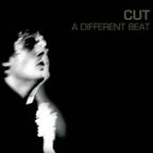  DIFFERENT BEAT - suprshop.cz