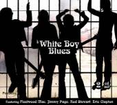 VARIOUS  - 2xCD WHITE BOYS BLUES
