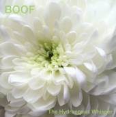 BOOF  - CD HYDRANGEAS WHISPER