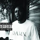  DAMN. COLLECTORS EDITION. [VINYL] - supershop.sk