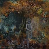 APOSTLE OF SOLITUDE  - CD FROM GOLD TO ASH