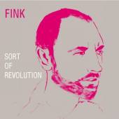 FINK  - CD SORT OF REVOLUTION