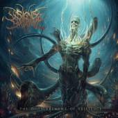 SIGNS OF THE SWARM  - CD DISFIGUREMENT OF EXISTENCE