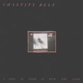 CHASTITY BELT  - CD I USED TO SPEND SO MUCH..