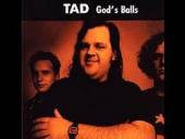 TAD  - CD GOD'S BALLS [DELUXE]
